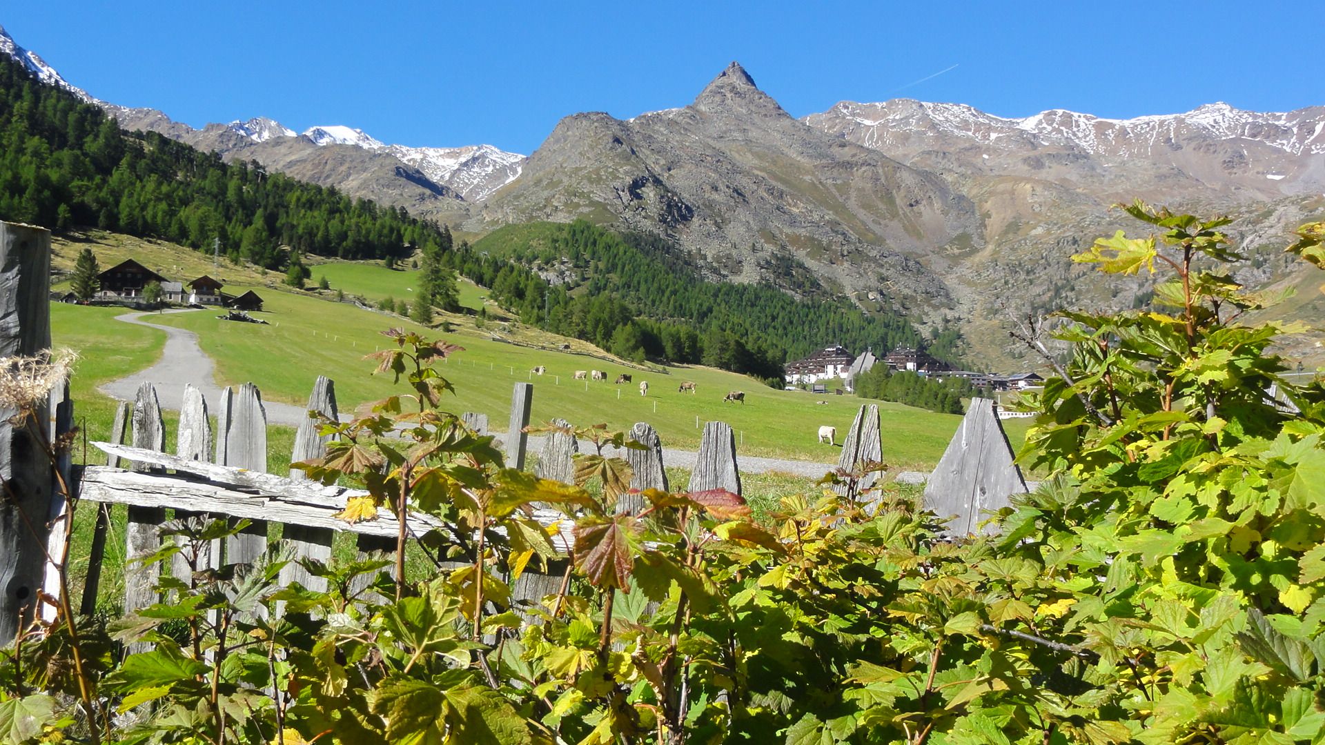 Benvenuti a Kurzras in Val Senales!